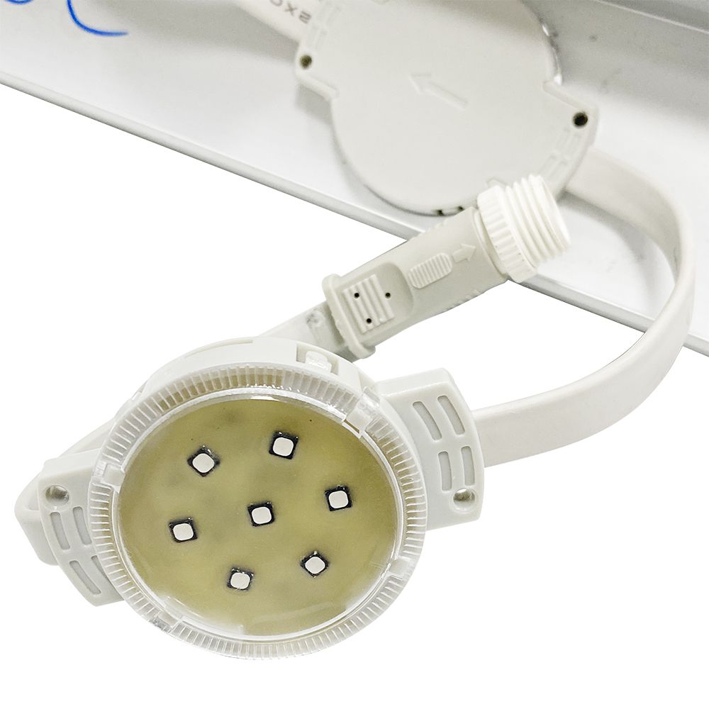 MG不朽情缘(中国区)官网首页